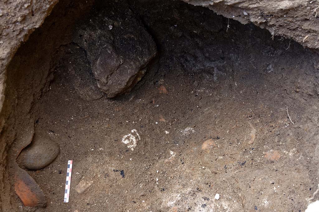 Fig. 27 – Pompéi, VI 16, 6. Bloc d’argile dans le comblement de la fosse. Vue de l’est.
Cl. MIBAC/N. Monteix/EFR. Licence creative commons, © CC BY-NC-SA.
