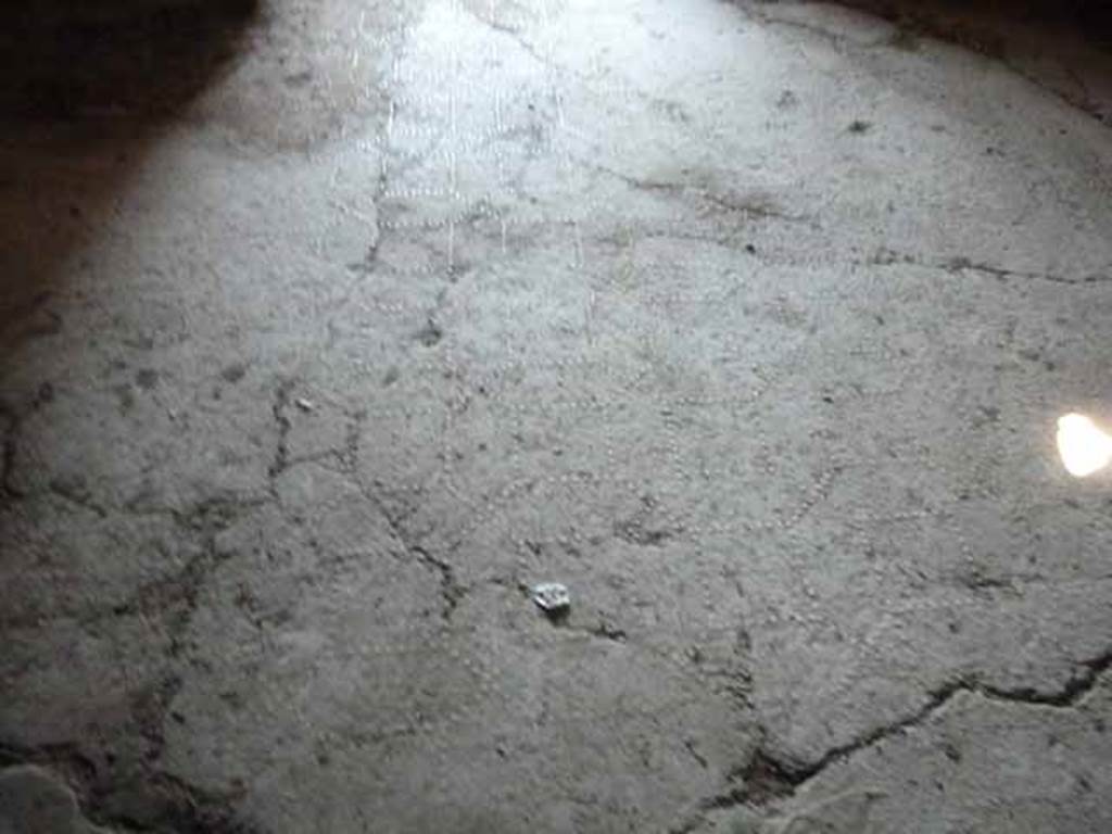 VI.16.7 Pompeii. May 2010. Floor in room M.