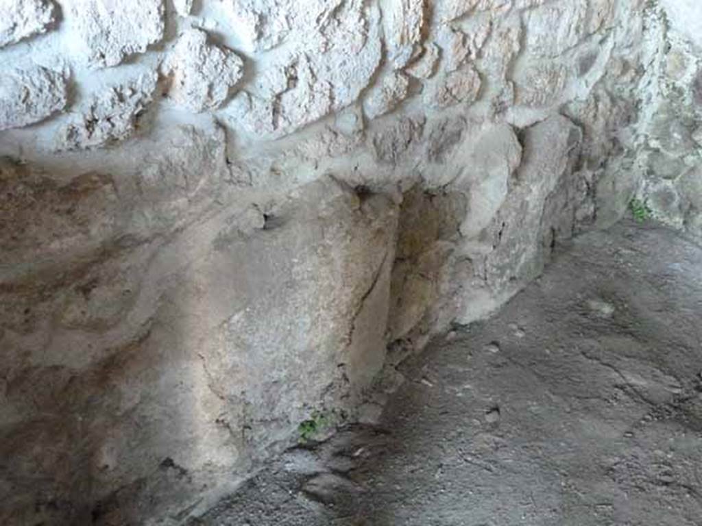 VI.16.7 Pompeii. May 2010. Room L, west wall.