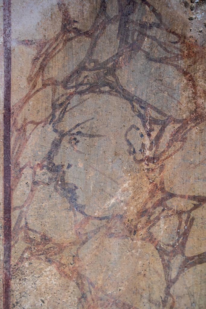 VI.16.7 Pompeii. October 2023. Room F, north portico. Household lararium.
Detail of head outlined in black in painted marble on east side of base.
Photo courtesy of Johannes Eber.