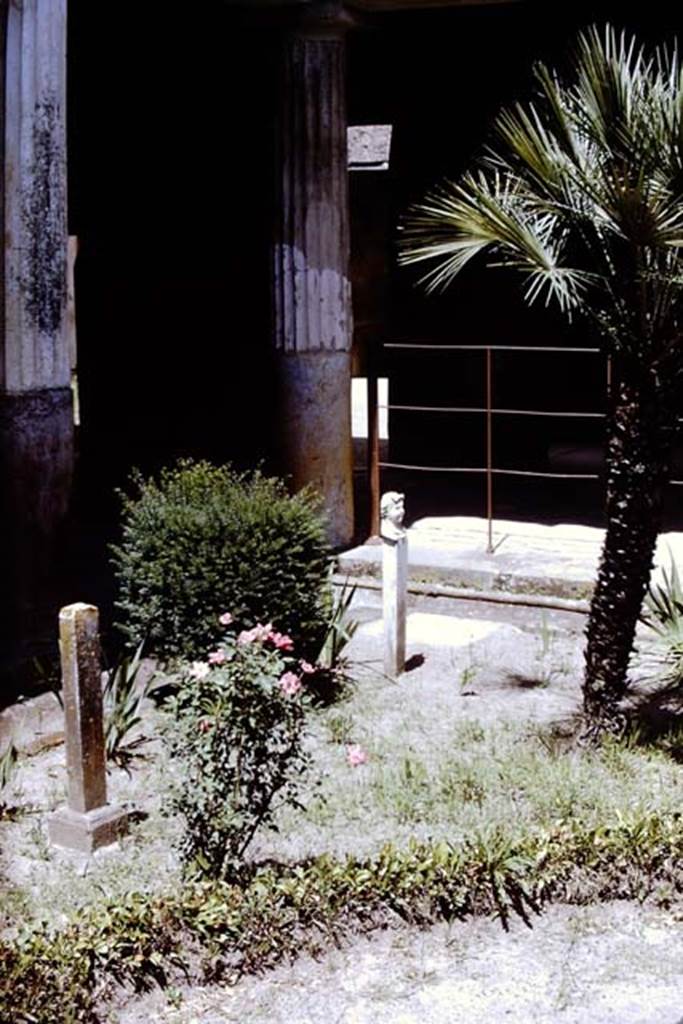 VI.16.7 Pompeii, 1968. North-east corner of the peristyle garden area. Photo by Stanley A. Jashemski.
Source: The Wilhelmina and Stanley A. Jashemski archive in the University of Maryland Library, Special Collections (See collection page) and made available under the Creative Commons Attribution-Non Commercial License v.4. See Licence and use details. J68f0074