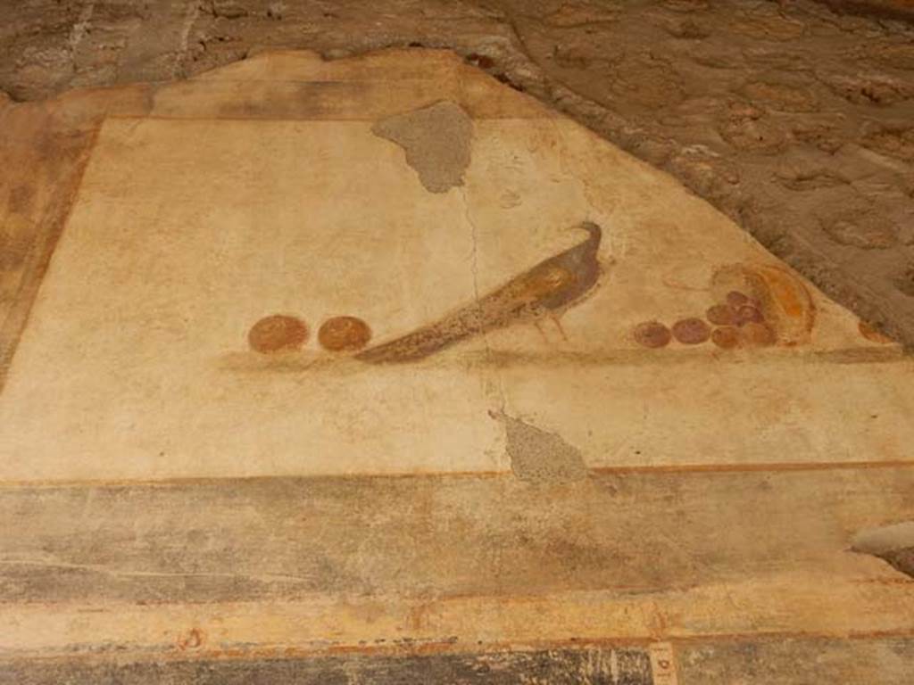 VI.16.7 Pompeii. May 2016. Entrance “A” upper north wall. Painting of still life with peacock and fruit, after recent restoration. Photo courtesy of Buzz Ferebee.