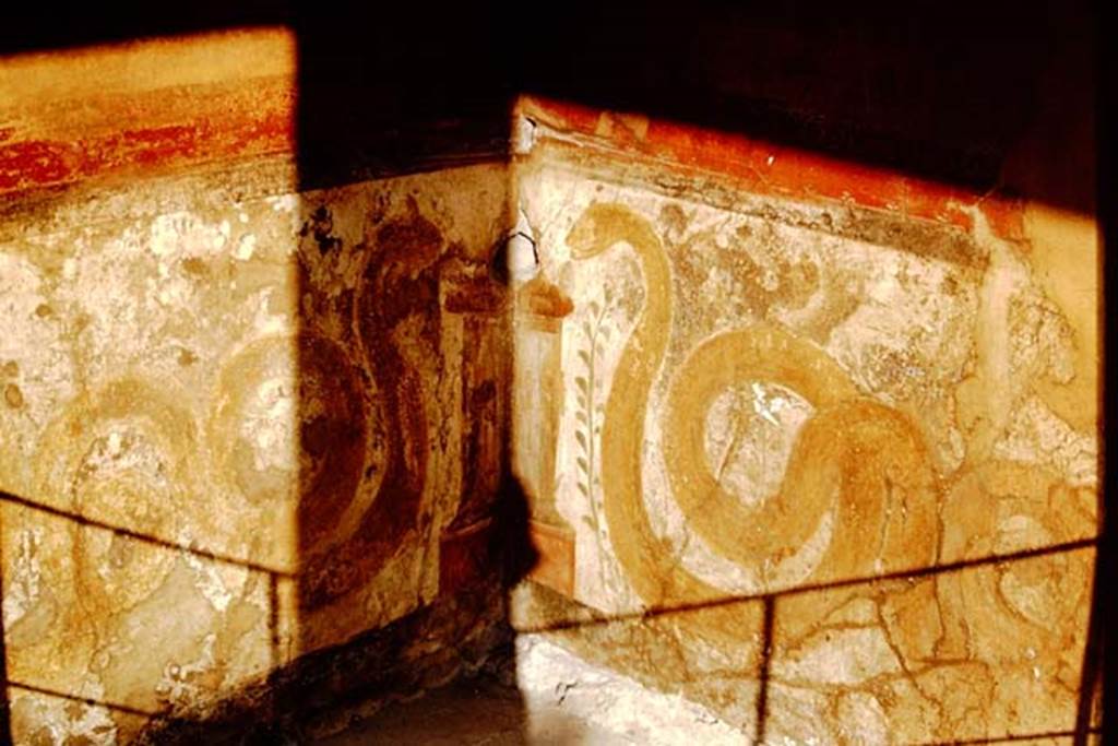 VI.16.7 Pompeii. 1966. South east corner with painted serpents. Photo by Stanley A. Jashemski.
Source: The Wilhelmina and Stanley A. Jashemski archive in the University of Maryland Library, Special Collections (See collection page) and made available under the Creative Commons Attribution-Non Commercial License v.4. See Licence and use details.
J66f0258
