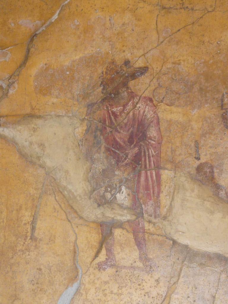 VI.16.7 Pompeii. June 2013. Room F, on the south wall of the peristyle. Painting of Anubis, after recent restoration. Photo courtesy of Buzz Ferebee.