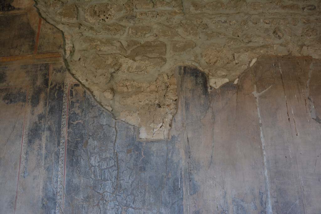 VI.16.7 Pompeii. March 2019. Decoration on south wall of portico.
Foto Annette Haug, ERC Grant 681269 DÉCOR.