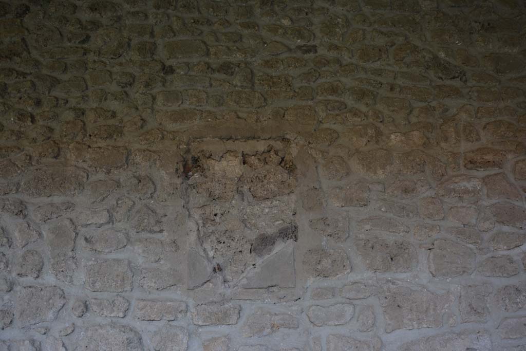 VI.16.7 Pompeii. March 2019. South wall of portico.
Foto Annette Haug, ERC Grant 681269 DÉCOR.