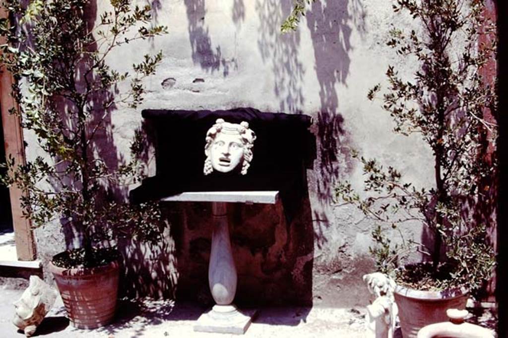 VI.16.7 Pompeii, 1978. Marble mask of Maenad being displayed for photograph. Photo by Stanley A. Jashemski.
Source: The Wilhelmina and Stanley A. Jashemski archive in the University of Maryland Library, Special Collections (See collection page) and made available under the Creative Commons Attribution-Non Commercial License v.4. See Licence and use details. J78f0583
