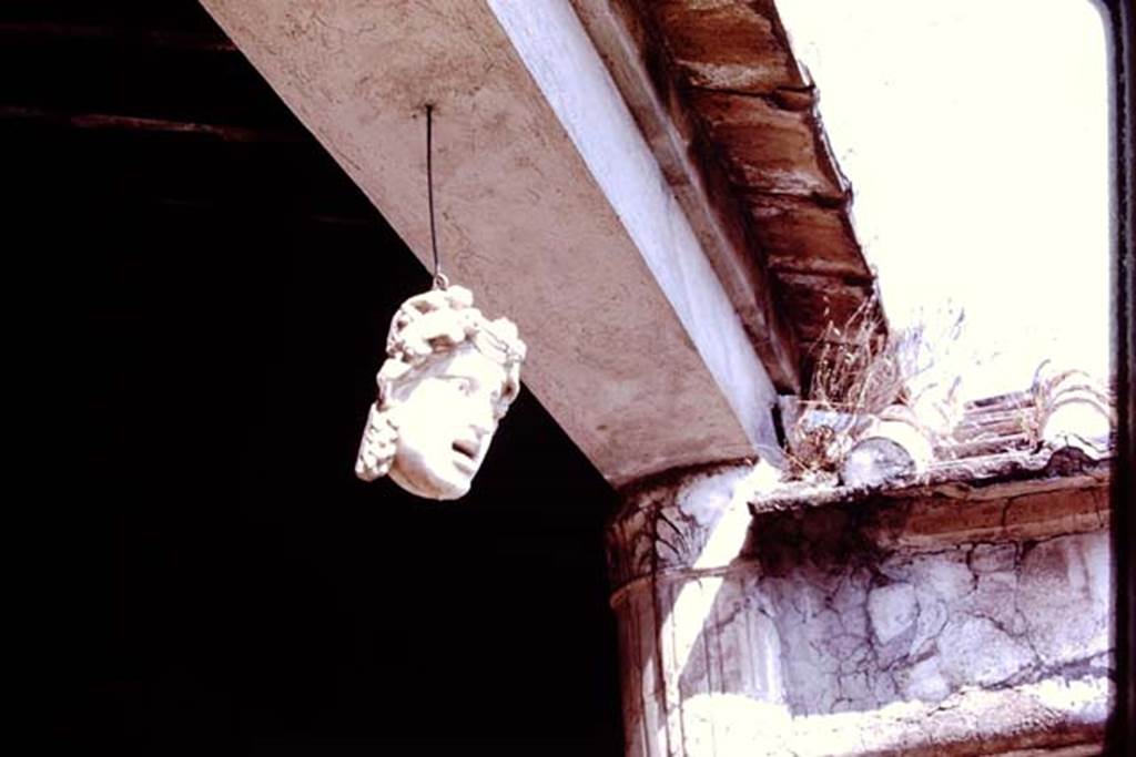 VI.16.7 Pompeii. 1977. Marble mask hanging between the columns of the perisytyle in the north-west corner. Photo by Stanley A. Jashemski.
Source: The Wilhelmina and Stanley A. Jashemski archive in the University of Maryland Library, Special Collections (See collection page) and made available under the Creative Commons Attribution-Non Commercial License v.4. See Licence and use details. J77f0563