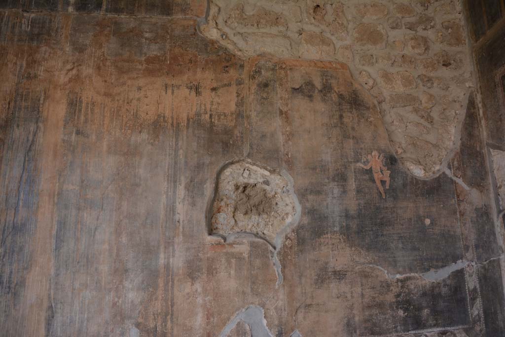 VI.16.7 Pompeii. March 2019. Detail from south wall of portico in south-west corner.
Foto Annette Haug, ERC Grant 681269 DÉCOR.