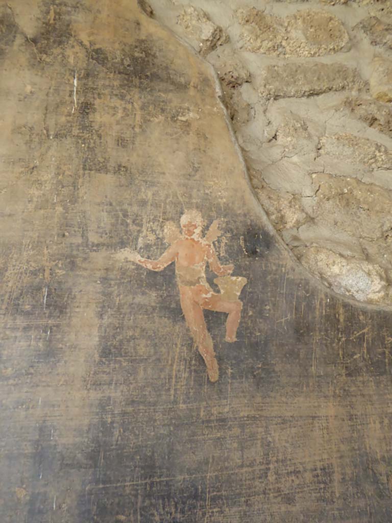 VI.16.7 Pompeii. September 2015. Detail from south wall of portico in south-west corner.
Foto Annette Haug, ERC Grant 681269 DÉCOR.