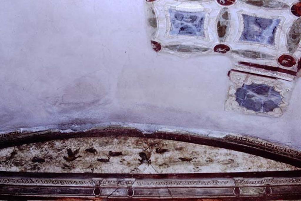 VI.16.7 Pompeii, 1968. Room Q, upper west wall and ceiling decoration. Photo by Stanley A. Jashemski.
Source: The Wilhelmina and Stanley A. Jashemski archive in the University of Maryland Library, Special Collections (See collection page) and made available under the Creative Commons Attribution-Non Commercial License v.4. See Licence and use details.
J68f0245.