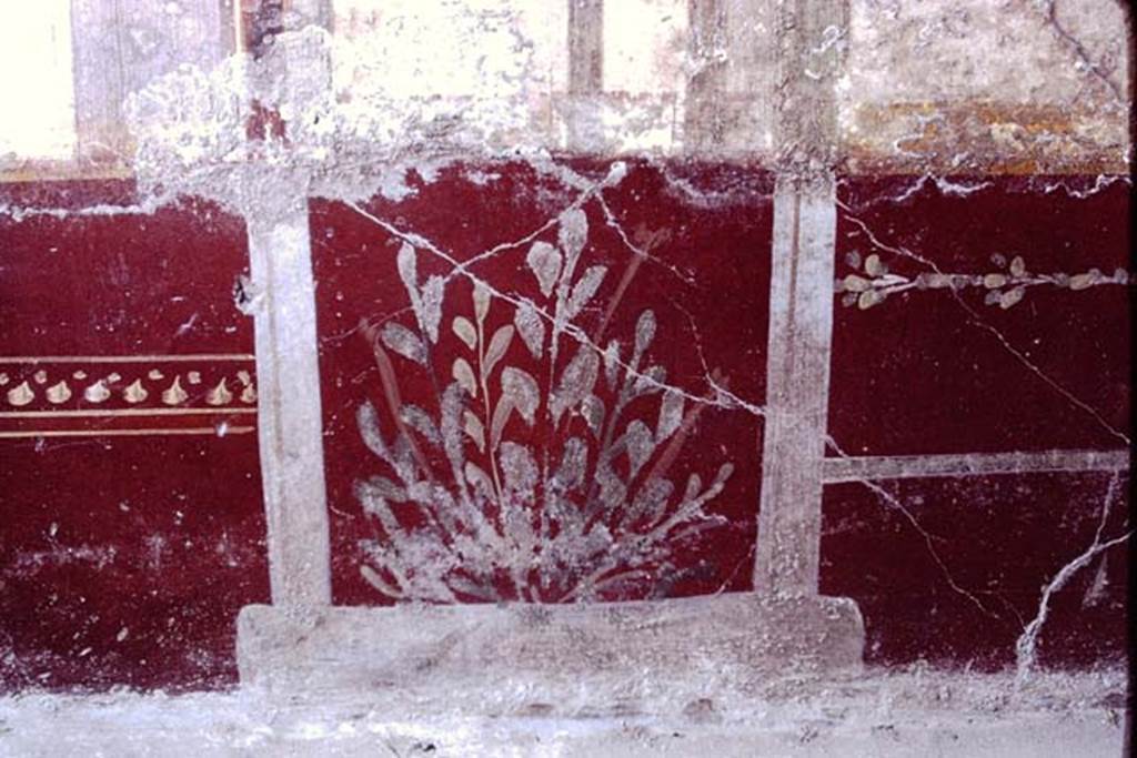 VI.16.7 Pompeii, 1968. Room Q, painted plant at west end of south wall. Photo by Stanley A. Jashemski.
Source: The Wilhelmina and Stanley A. Jashemski archive in the University of Maryland Library, Special Collections (See collection page) and made available under the Creative Commons Attribution-Non Commercial License v.4. See Licence and use details.
J68f0251
