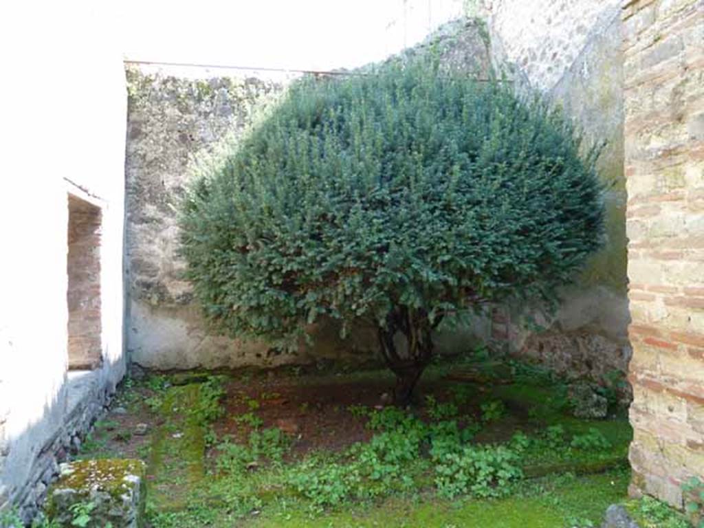 VI.16.7 Pompeii. May 2010. Room P, light-yard on west side of window to room Q, and south side of large triclinium, room O. According to Jashemski, there was a very small garden in the rear south-west corner of the house. This could be seen through the window of the small room on its east. The triclinium to the north had access to the garden through the large opening in the wall, originally provided with a door reached by little wooden steps. There was a gutter near the north and east edges of the garden. See Jashemski, W. F., 1993. The Gardens of Pompeii, Volume II: Appendices. New York: Caratzas. (p.164)
