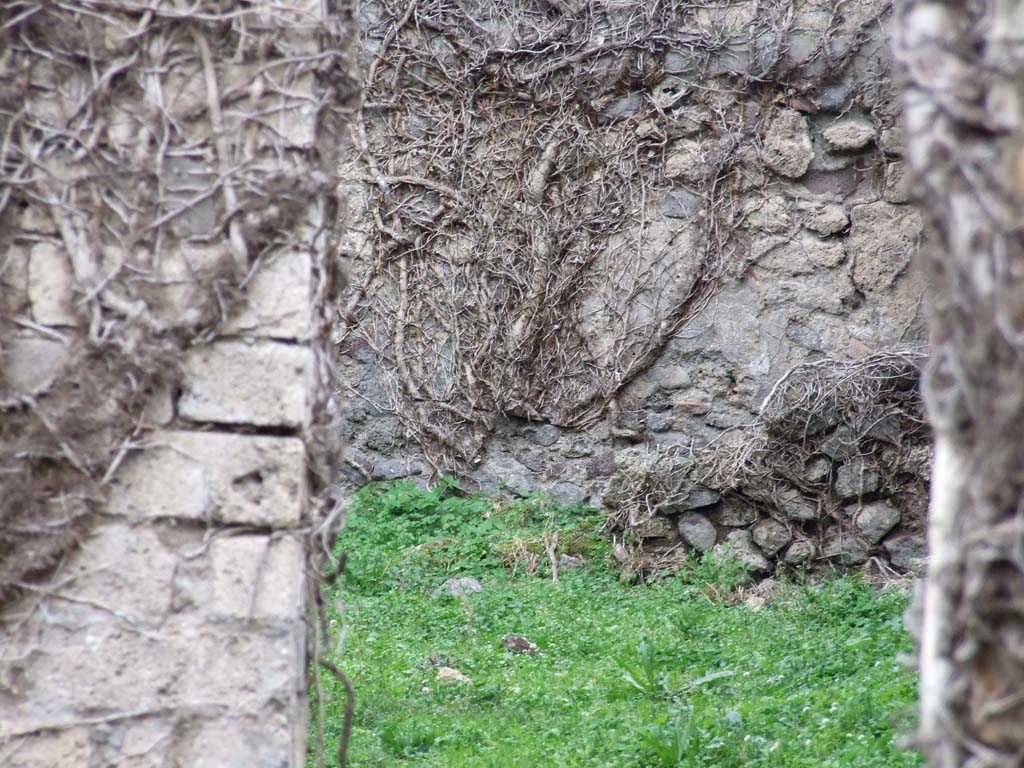 VI.16.10 Pompeii. December 2007. Rear of house.
According to Jashemski, the garden at the rear had a portico on the east supported by a pillar of brick and tufa cut in the shape of brick.
The garden was enclosed by a low masonry wall built between the pillar and the north garden wall.
In the south-east corner of the garden, there was a terracotta puteal.
See Jashemski, W. F., 1993. The Gardens of Pompeii, Volume II: Appendices. New York: Caratzas. (p.164).