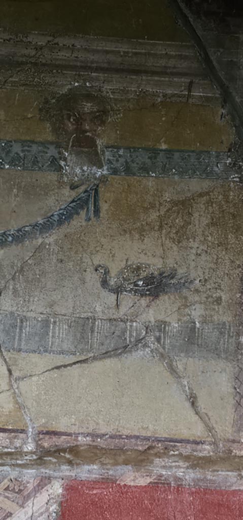 VI.16.15 Pompeii. December 2023.
Detail from upper north end of west wall of room F. Photo courtesy of Miriam Colomer.