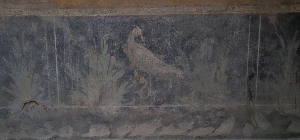 VI.16.15 Pompeii. December 2023.
Centre of lower zoccolo of east wall of room F with detail of wall painting of bird and plants. Photo courtesy of Miriam Colomer.