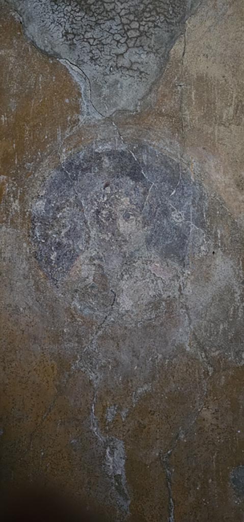 VI.16.15 Pompeii. December 2023.
North wall of room G with detail of medallion painting.
Photo courtesy of Miriam Colomer.