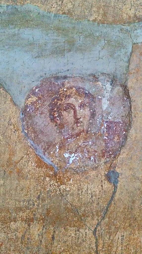 VI.16.15 Pompeii. 2015/2016.
Room G, medallion from north end of east wall. Photo courtesy of Giuseppe Ciaramella.