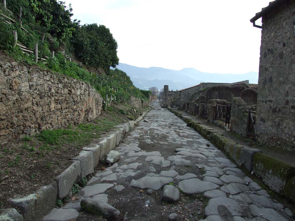 Via del Vesuvio, Pompeii, looking south. December 2006. VI.16.15, on the right.