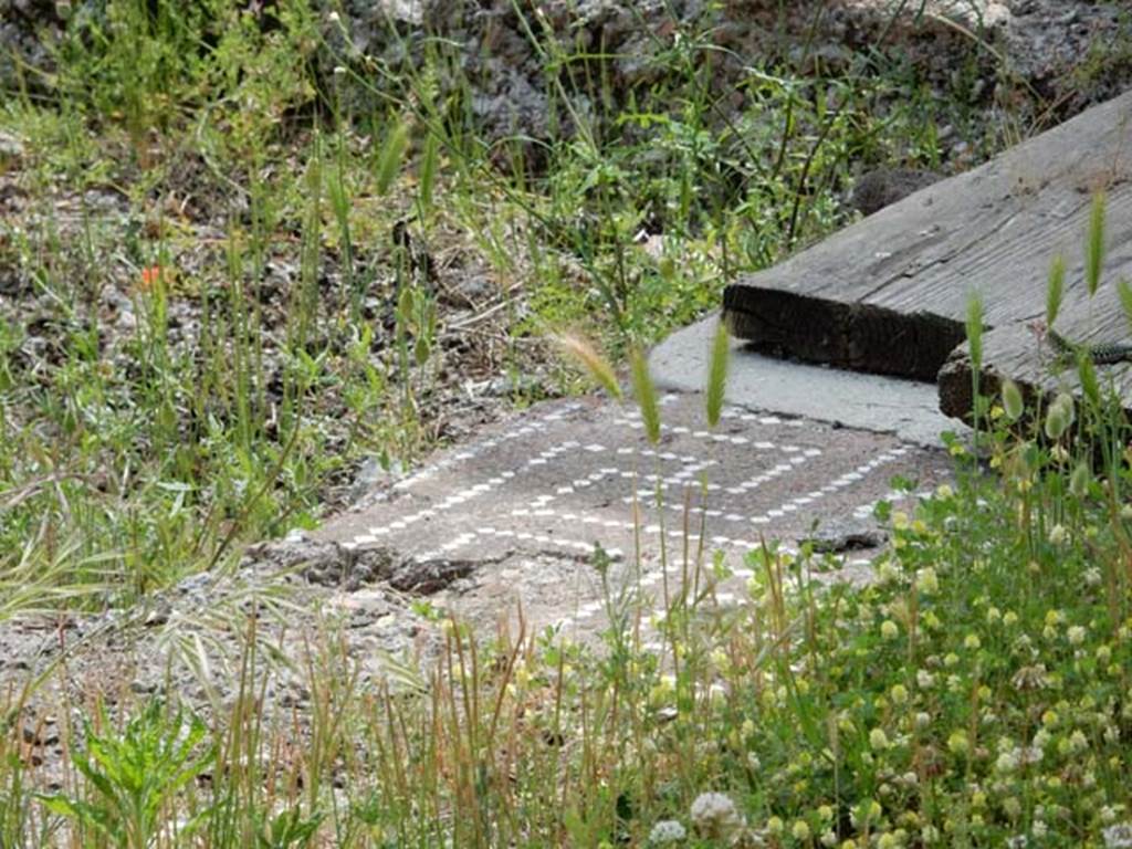 VI.16.19 Pompeii. May 2015. Decorative edging to impluvium in atrium.
Photo courtesy of Buzz Ferebee.
