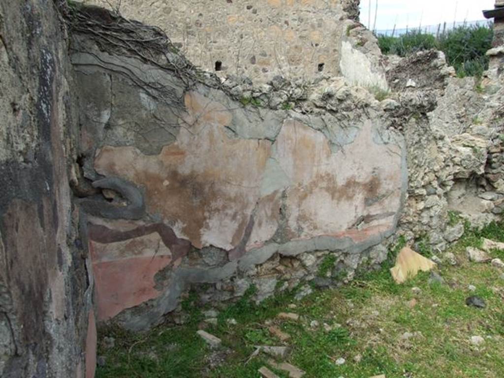 VI.16.29 Pompeii. March 2009. Room H, north wall. According to NdS, the walls were painted with mediocre decorations, but of which quite a bit was remaining. They were divided in large panels painted on a background of a natural colour similar to brick plaster.
Each offered a rectangular painting in the centre showing two dolphins facing to the sides of a type of vase. The frieze, that was preserved only in part on the western wall, did not show any decoration at all. The lower dado on a red background showed the usual plant decoration.