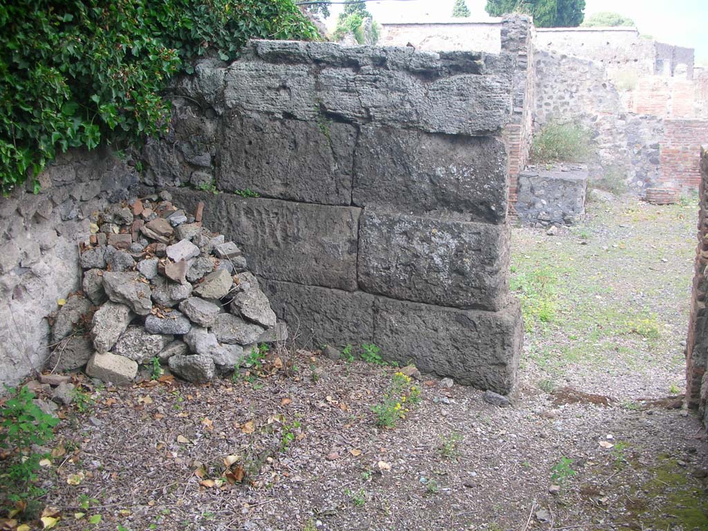 VI.17.1 Pompeii. May 2010. Detail of east wall in room in north-west corner. Photo courtesy of Ivo van der Graaff.