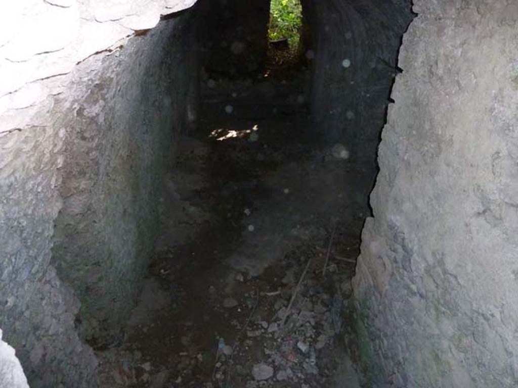 VI.17.14 Pompeii. September 2015.
Looking west through cellar. This may have been a corridor/ramp/stairs leading to a lower level.