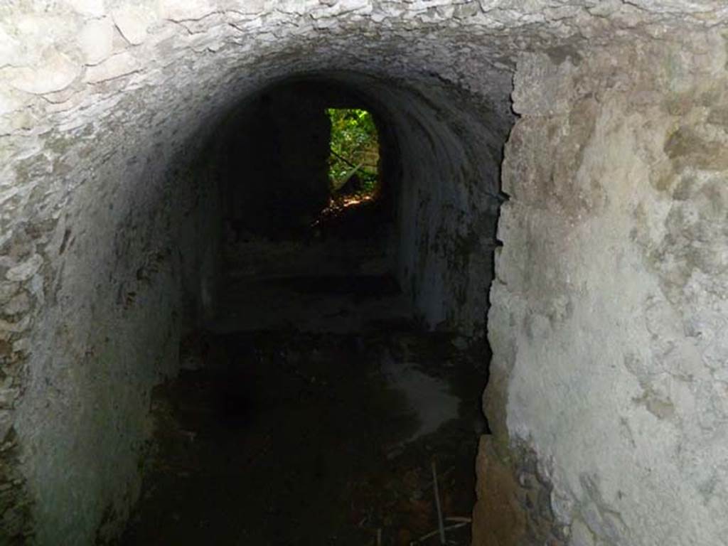 VI.17.14 Pompeii. May 2011. Looking west inside cellar, towards window.
