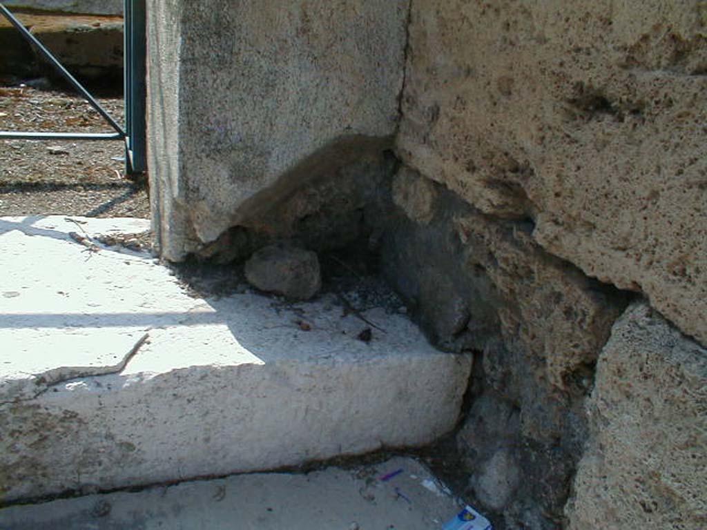 VI.17.17 Pompeii. September 2004. Steps to vestibule, with lizard on step.