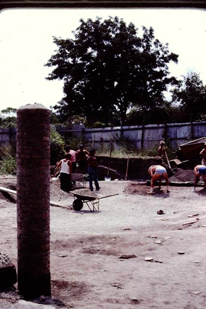 VI.17.42, Pompeii, 1983. Looking south-west towards rear of garden, during excavation. Photo by Sally Gladden.
Source: The Wilhelmina and Stanley A. Jashemski archive in the University of Maryland Library, Special Collections (See collection page) and made available under the Creative Commons Attribution-Non Commercial License v.4. See Licence and use details. J80f0585
According to Wilhelmina, “At the west end of the garden was a slightly raised narrow bed, at the rear of which was a row of 28 small root cavities. The cavities along the south wall were badly damaged, but symmetry suggested that they were vines, and they covered each wall. The largest cavity in the garden, apparently that of a tree or perhaps an oleander, was in the south-west rectangular bed.”
See Jashemski, W.F., 2014. Discovering the Gardens of Pompeii: Memoirs of a Garden Archaeologist, (p.288)