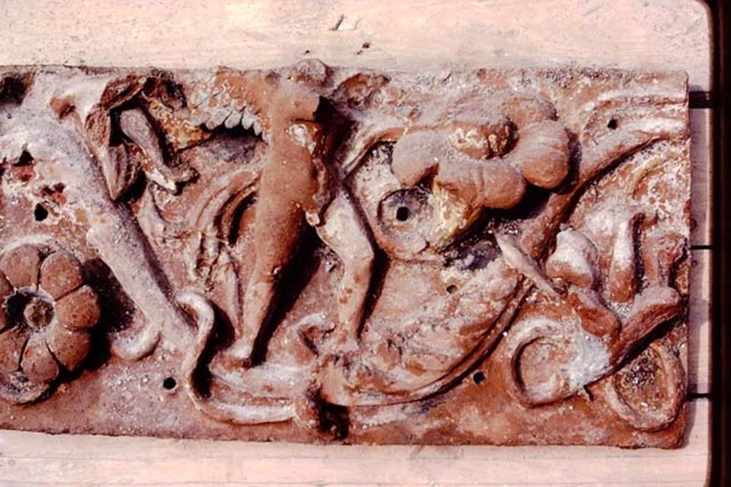 VI.17.42, Pompeii, 1983. Detail of terracotta plaque. Photo by Sally Gladden.
Source: The Wilhelmina and Stanley A. Jashemski archive in the University of Maryland Library, Special Collections (See collection page) and made available under the Creative Commons Attribution-Non Commercial License v.4. See Licence and use details. J80f0592