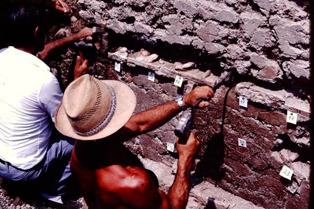 VI.17.42, Pompeii. 1983. Terracotta plaques being discovered in the west wall of the garden. Photo by Sally Gladden.
Source: The Wilhelmina and Stanley A. Jashemski archive in the University of Maryland Library, Special Collections (See collection page) and made available under the Creative Commons Attribution-Non Commercial License v.4. See Licence and use details. J80f0595