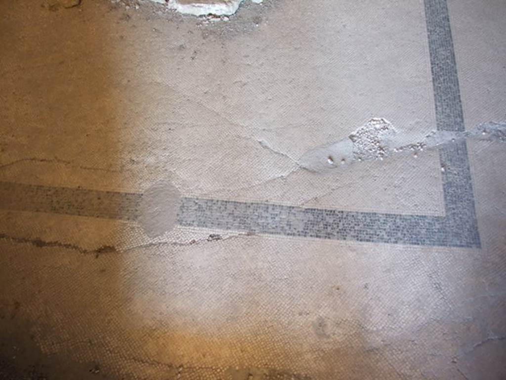 VI.17.42 Pompeii. December 2007. Triclinium 20 overlooking garden. Detail of floor mosaic.