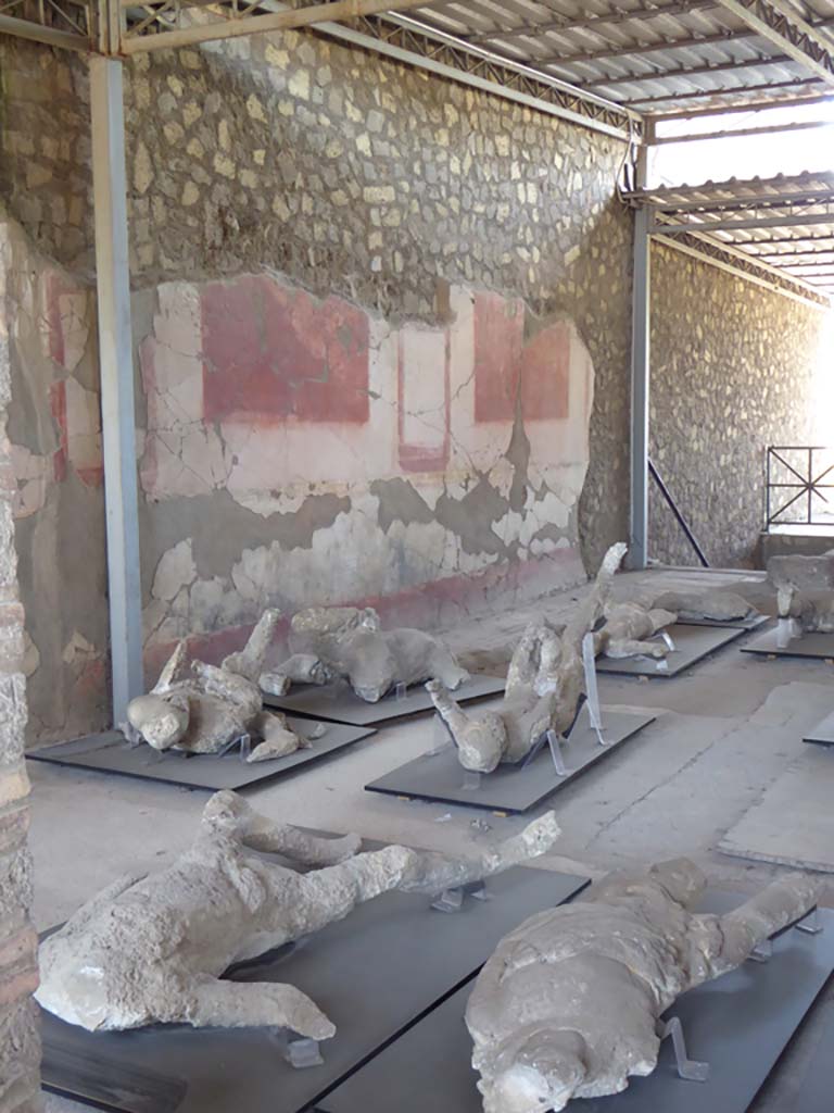 VI.17.42 Pompeii. September 2017. Looking towards south wall of atrium area.
Foto Annette Haug, ERC Grant 681269 DÉCOR.
