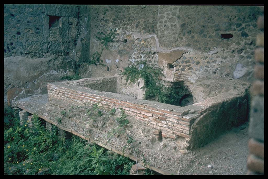 VII.1.8 Pompeii. Men’s tepidarium 3, pool against east end wall.
Photographed 1970-79 by Günther Einhorn, picture courtesy of his son Ralf Einhorn.