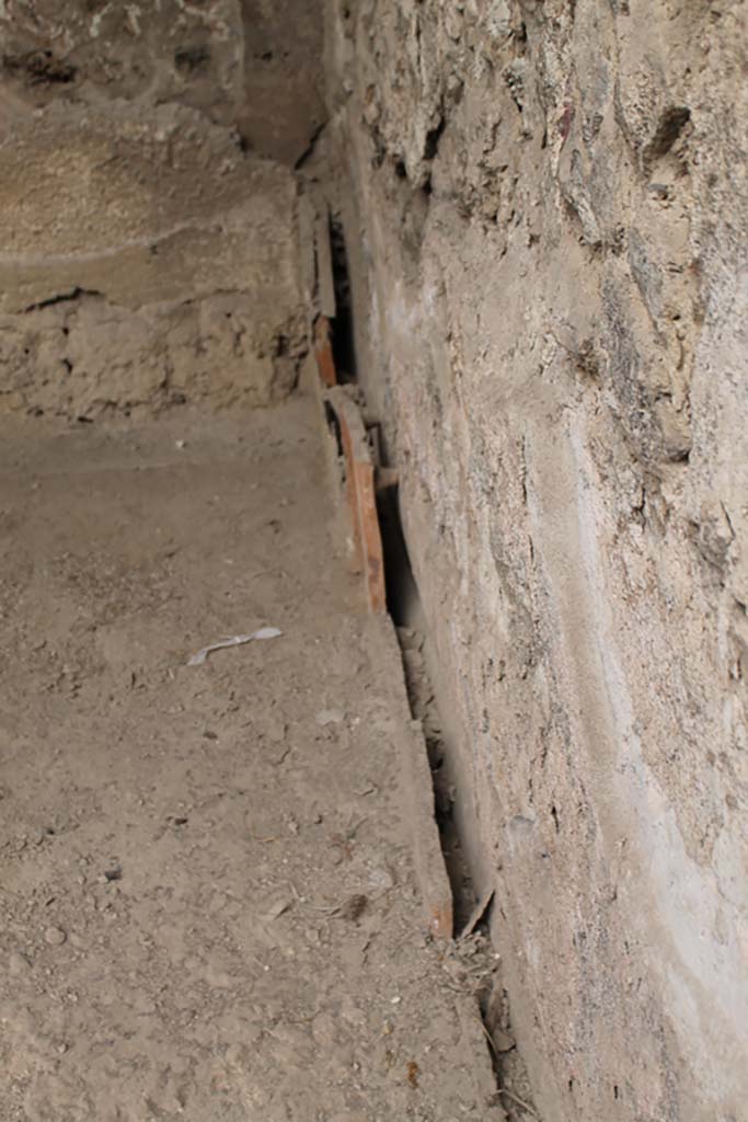 VII.1.8 Pompeii. March 2014. Detail from south wall in south-east corner.
Foto Annette Haug, ERC Grant 681269 DÉCOR