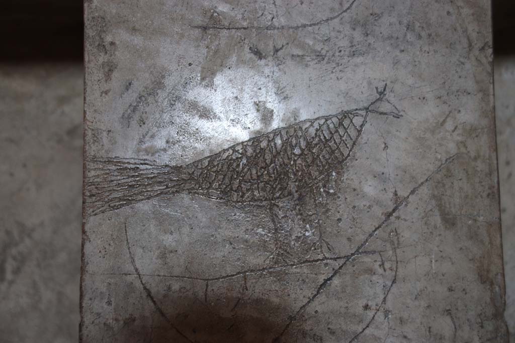 VII.1.8 Pompeii. September 2017. Scratched graffito in women�s changing room 11. Photo courtesy of Klaus Heese.
