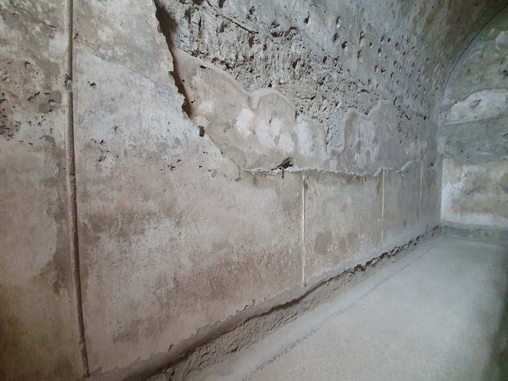 VII.1.8 Pompeii. July 2021. Tepidarium 10, north wall.    
Foto Annette Haug, ERC Grant 681269 D�COR
