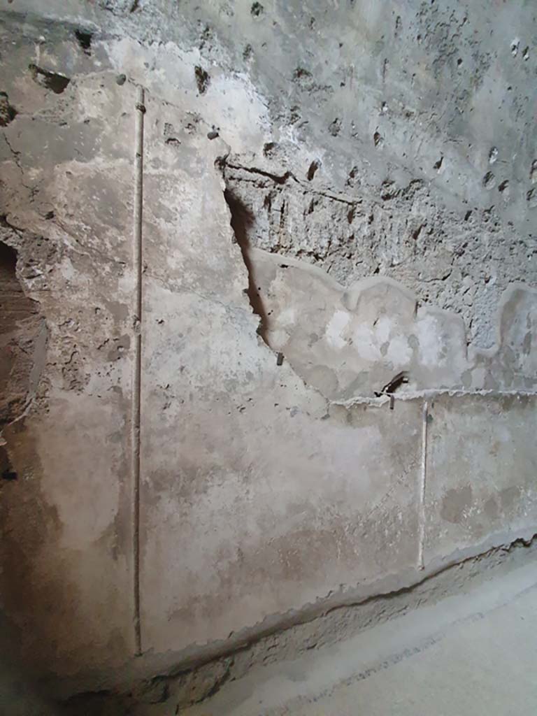 VII.1.8 Pompeii. July 2021. Tepidarium 10, detail from upper north wall.   
Foto Annette Haug, ERC Grant 681269 D�COR

