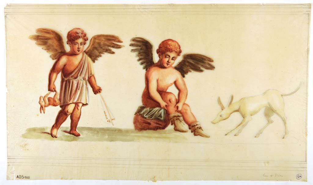 VII.1.25 Pompeii. Triclinium 32. Anonymous copy painting, of cupids and dog, returning from the hunt with a hare, part of IV Style decoration of room, but now all faded and disappeared.
Now in Naples Archaeological Museum. Inventory number ADS 502.
Photo © ICCD. http://www.catalogo.beniculturali.it
Utilizzabili alle condizioni della licenza Attribuzione - Non commerciale - Condividi allo stesso modo 2.5 Italia (CC BY-NC-SA 2.5 IT)
See Helbig, W., 1868. Wandgemälde der vom Vesuv verschütteten Städte Campaniens. Leipzig: Breitkopf und Härtel, (807).
According to PPM, these were seen in triclinium, room 34, not as room 32 here.
See Carratelli, G. P., 1990-2003. Pompei: Pitture e Mosaici: Vol. VI. Roma: Istituto della enciclopedia italiana, p. 338.