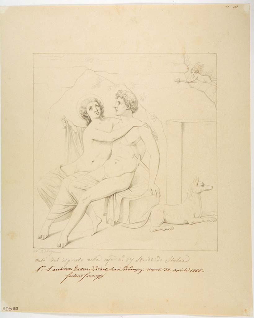 VII.1.25 Pompeii. Room 34, south wall. Drawing by Nicola La Volpe, of painting of Mars and Venus or Venus and Adonis.
The painting was left in situ and has now faded.
Now in Naples Archaeological Museum. Inventory number ADS 513.
Photo © ICCD. http://www.catalogo.beniculturali.it
Utilizzabili alle condizioni della licenza Attribuzione - Non commerciale - Condividi allo stesso modo 2.5 Italia (CC BY-NC-SA 2.5 IT)
See Helbig, W., 1868. Wandgemälde der vom Vesuv verschütteten Städte Campaniens. Leipzig: Breitkopf und Härtel, (317).