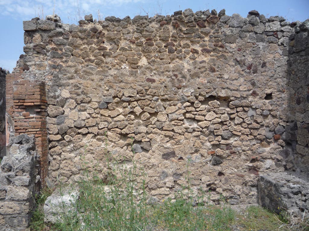 VII.1.36 Pompeii. October 2009. North wall of room on east side of atrium. Photo courtesy of Jared Benton.
According to Breton, this large room was possibly used as a workshop for storing the bread once it was taken from the oven.
There are several massive masonry supports which could serve as supports for a table, and in a corner on the ground lay a small mill.
On the walls were the remains of a well-drawn painting depicting Bacchus and four of his followers.
See Breton, Ernest. 1870. Pompeia, Guide de visite a Pompei, 3rd ed. Paris, Guerin.
According to Boyce (VII.1.36/37), Here*, was found a lararium painting (h.1.16, w.2.58):
in the centre stood an altar and to the right of it was Vesta, wearing a white tunic and a white veil which fell down the back of her head.
In her left hand she held a sceptre and with the right she poured a libation upon the altar, at her side stood an ass.
On the left of the altar was Bacchus, wearing an ivy wreath and red chlamys; in his right hand he held a bunch of grapes, and his left held a thyrsus over his shoulder.
On each side of this central group stood a Lar wearing green tunic and red pallium and holding rhyton and patera.
In the lower zone were two serpents confronted at an altar.
See Boyce G. K., 1937. Corpus of the Lararia of Pompeii. Rome: MAAR 14. (p.60, no.240A).
Boyce added a note : “This is the location of this painting given by Helbig (66b), and the reports of the Ann. Inst. and Bull. Inst:
but Fiorelli in Scavi placed it at VII.12.11, where there is a quite different shrine, and in Descrizione he did not mention the painting at all.”
