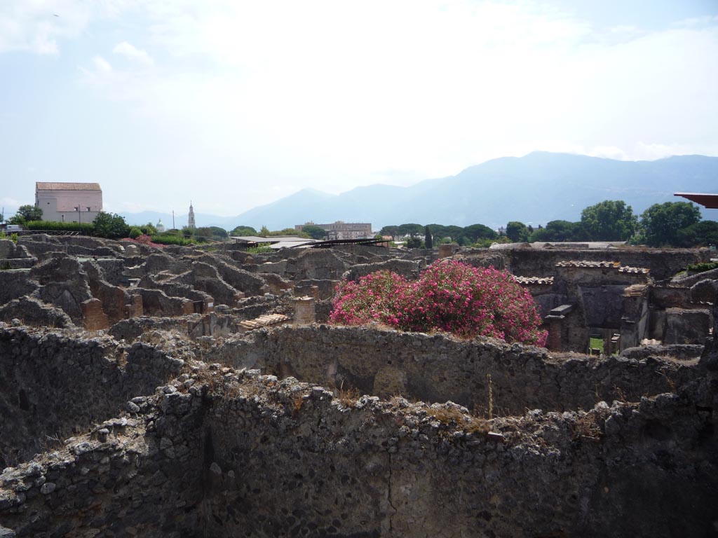 VII.1.36 Pompeii. October 2009.
Looking south-east across Reg. VII Insula 1. The large pink oleander bush would be in VII.1.25. Photo courtesy of Jared Benton.