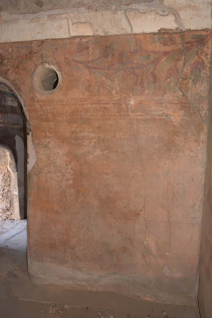 VII.1.40 Pompeii. September 2019. Tepidarium 15, east wall.
Foto Annette Haug, ERC Grant 681269 DÉCOR.