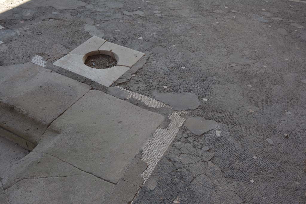 VII.1.40 Pompeii. September 2019. Detail from south-west corner of impluvium in atrium.
Foto Annette Haug, ERC Grant 681269 DÉCOR.