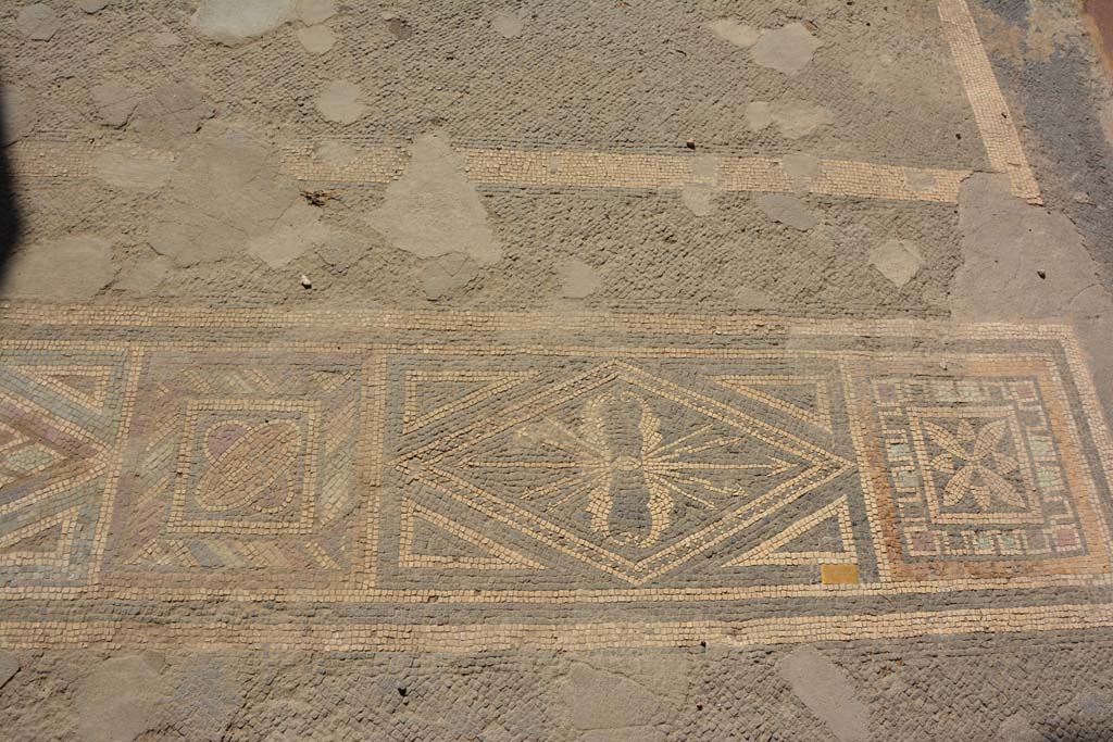 VII.1.40 Pompeii. September 2019. Tablinum 11, mosaic doorway threshold at west end.
Foto Annette Haug, ERC Grant 681269 DÉCOR.