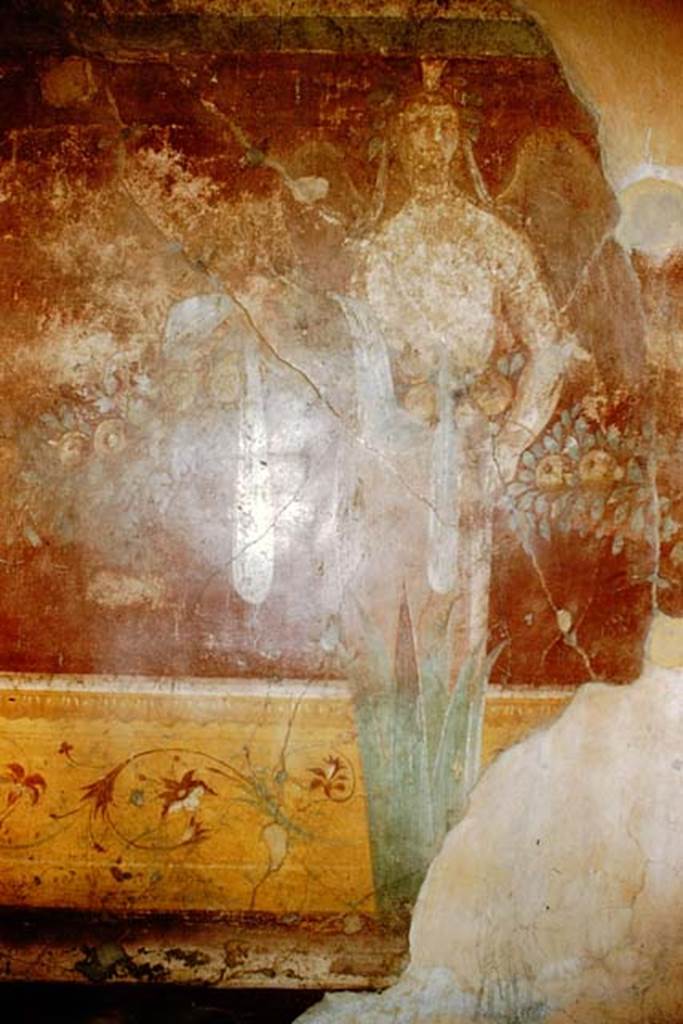 VII.1.40 Pompeii. 1959. North wall of oecus. Photo by Stanley A. Jashemski.
Source: The Wilhelmina and Stanley A. Jashemski archive in the University of Maryland Library, Special Collections (See collection page) and made available under the Creative Commons Attribution-Non Commercial License v.4. See Licence and use details.
J59f0394