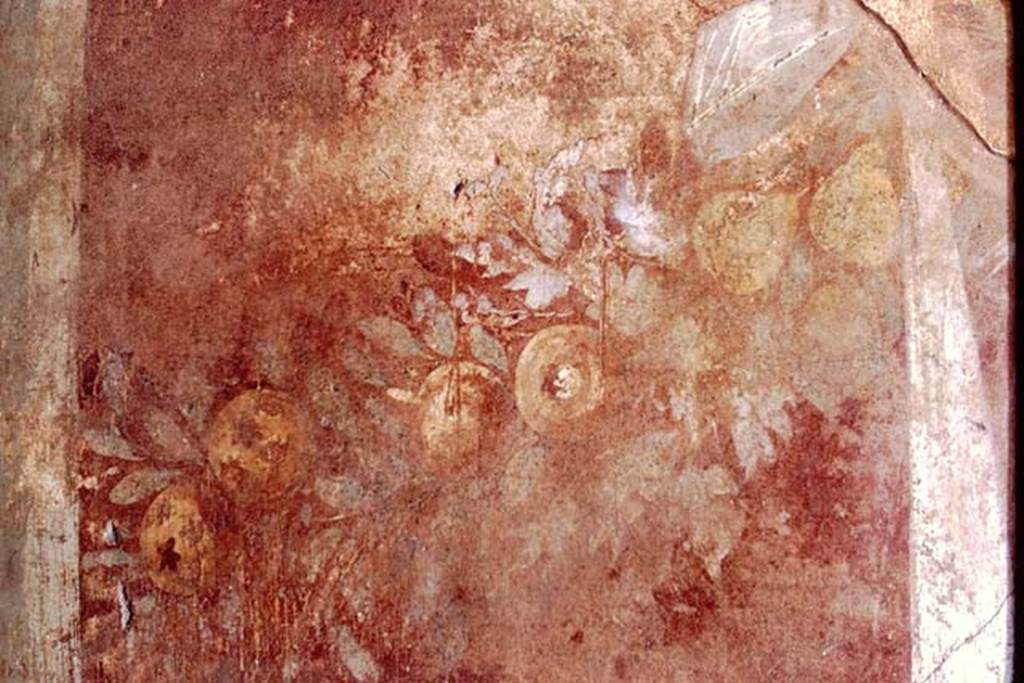 VII.1.40 Pompeii. 1971. Oecus, detail of painted garland of fruit and leaves from west end of north wall. Photo by Stanley A. Jashemski.
Source: The Wilhelmina and Stanley A. Jashemski archive in the University of Maryland Library, Special Collections (See collection page) and made available under the Creative Commons Attribution-Non Commercial License v.4. See Licence and use details. J71f0163