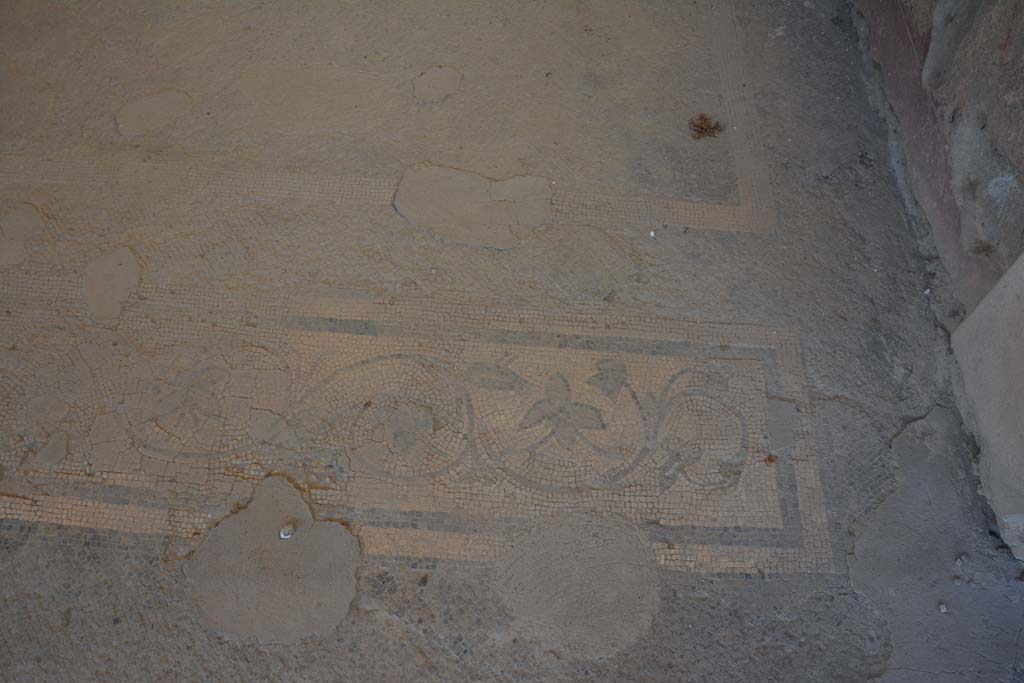 VII.1.40 Pompeii. September 2019. West ala 3a, detail from mosaic threshold at north end of doorway.
Foto Annette Haug, ERC Grant 681269 DÉCOR.