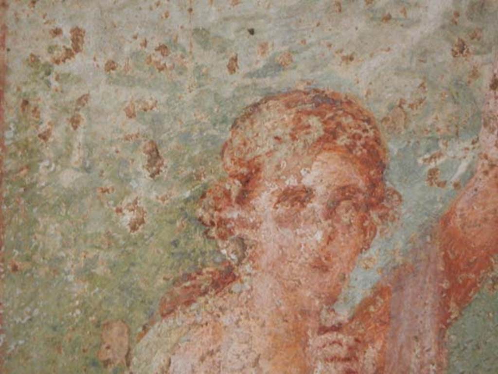 VII.1.47 Pompeii, May 2018. Exedra 10, detail from central painting on north wall. Photo courtesy of Buzz Ferebee